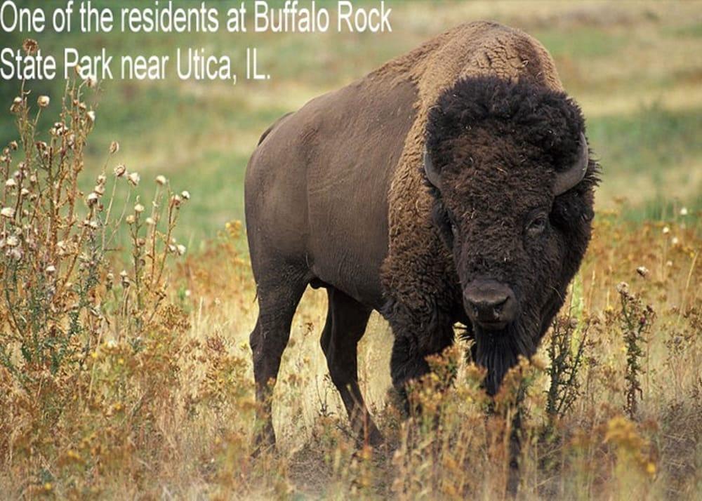 Готель Super 8 By Wyndham Ottawa Starved Rock Екстер'єр фото
